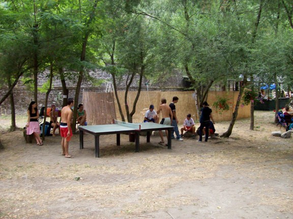  Image name: 100_0318.JPG 
 width: 576 pixel 
 height: 432 pixel 
 Size: 95208 bytes 
 Click to enlarge 